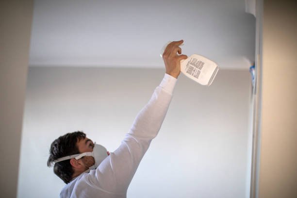 Best Crawl Space Mold Removal  in Mercedes, TX